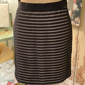 Ann Taylor Lace Skirt